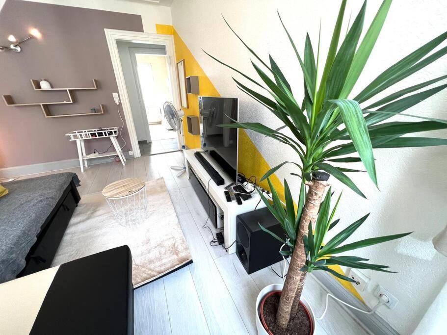 Lumiere Secrete Mulhouse Centre Parking Tram Apartment Exterior foto